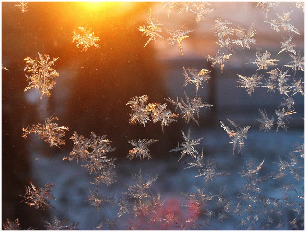 Фотографія Winter Sunset / Estella / photographers.ua