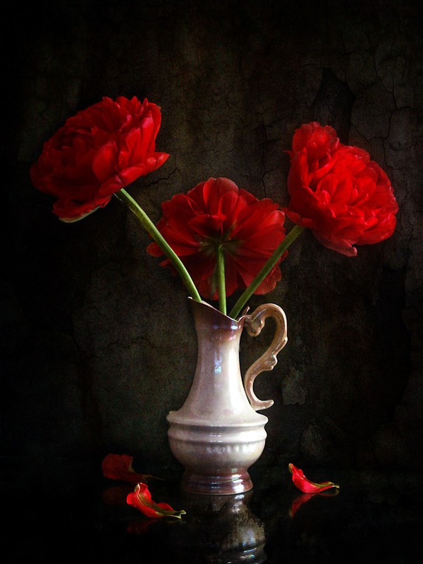 Фотографія Тюльпанова манія. Червоні гіганти. / Estella / photographers.ua
