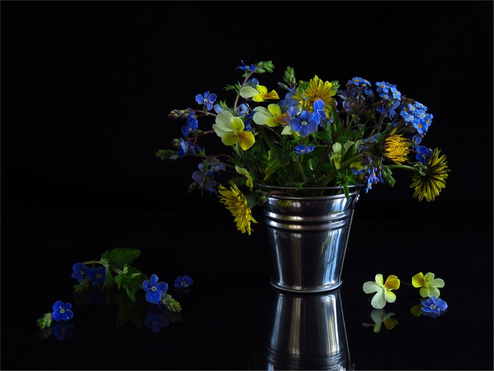 Фотографія A bucket full of spring / Estella / photographers.ua