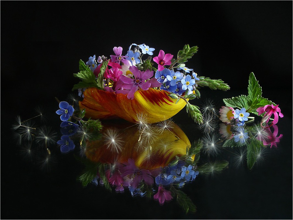 Фотографія Colours of Spring / Estella / photographers.ua