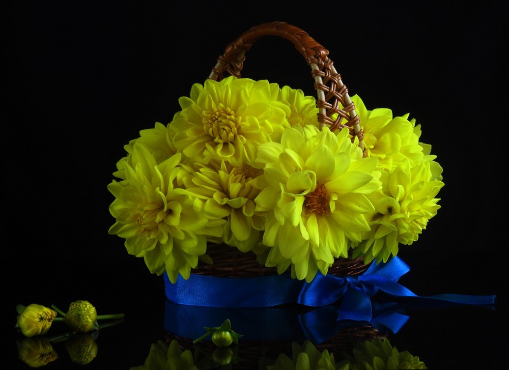 Фотографія З Днем народження Тебе, Україно! / Estella / photographers.ua