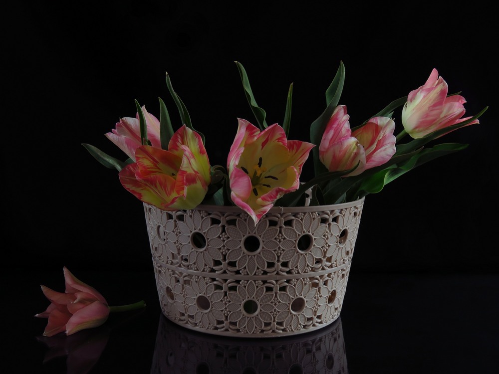 Фотографія Pink Tulips / Estella / photographers.ua