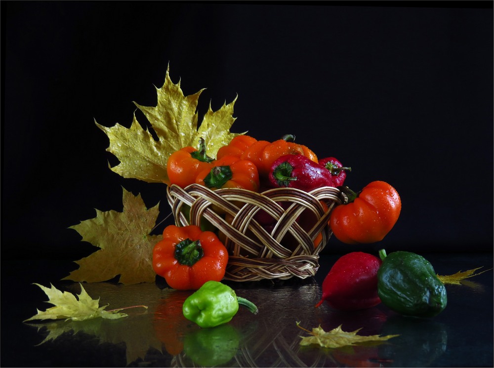 Фотографія Урожайна осінь / Estella / photographers.ua