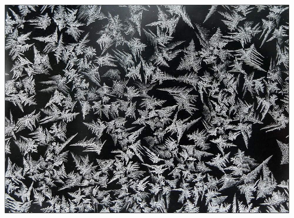 Фотографія Evening frost Art / Estella / photographers.ua