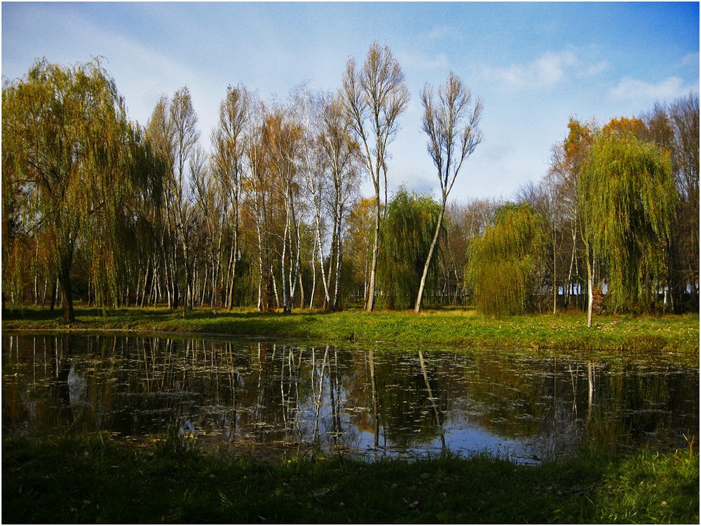 Фотографія Згадуючи осінь / Estella / photographers.ua