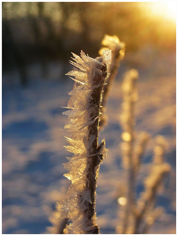 Фотографія Тепло про холодне / Estella / photographers.ua