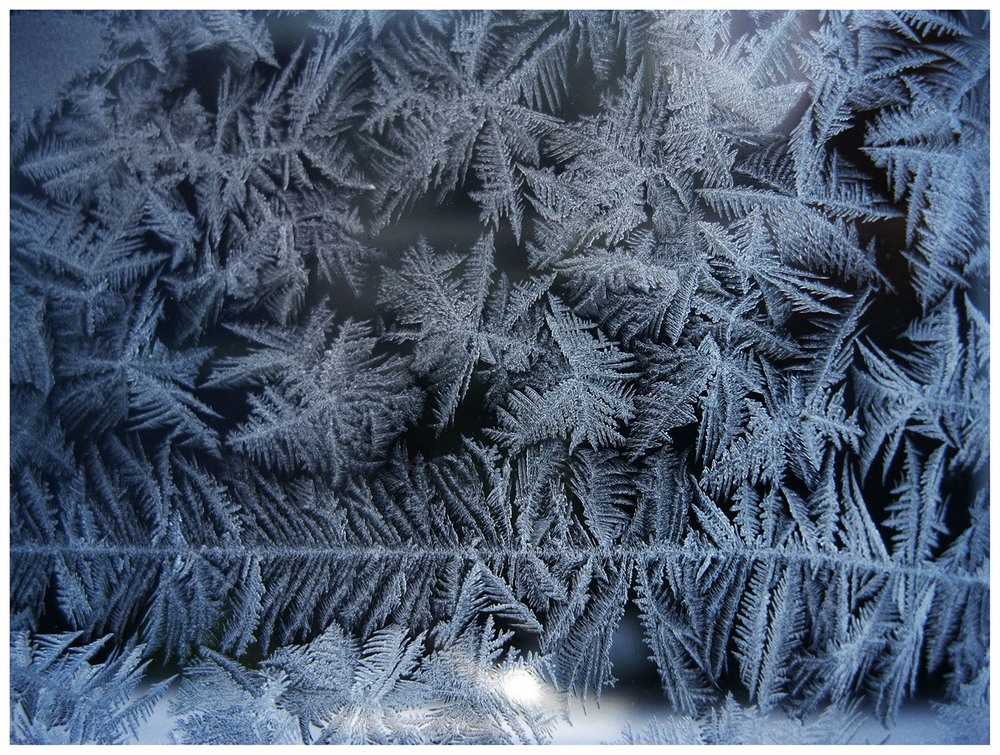Фотографія Frosty Art / Estella / photographers.ua