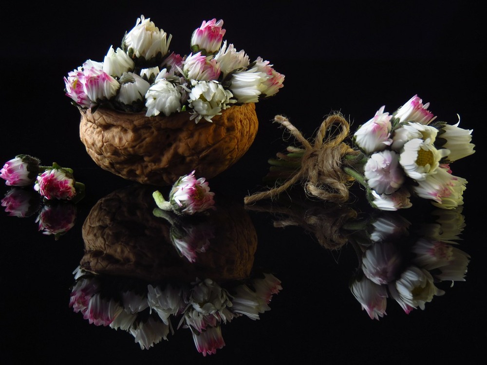 Фотографія Весна в мініатюрі. Чорне дзеркало / Estella / photographers.ua