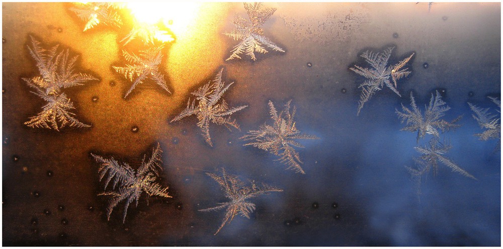 Фотографія Winter Art / Estella / photographers.ua