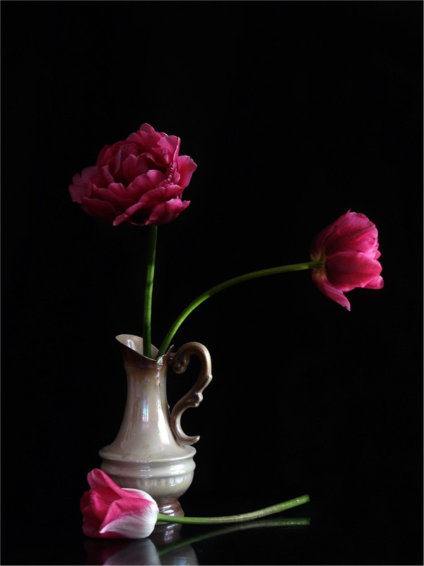 Фотографія Тюльпанова манія.Імітація півоній / Estella / photographers.ua