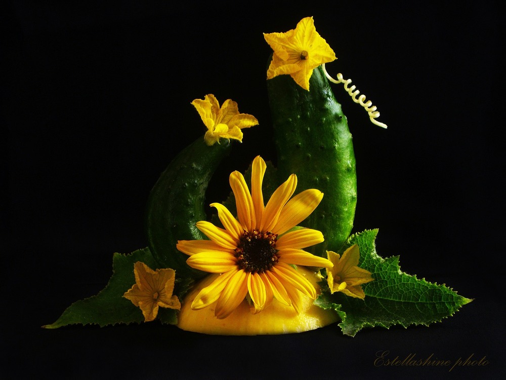 Фотографія Студійні огірочки. Композиція з квіткою. / Estella / photographers.ua