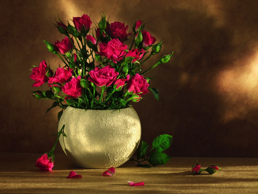 Фотографія Рожеві троянди. Поцілунок Сонця. / Estella / photographers.ua