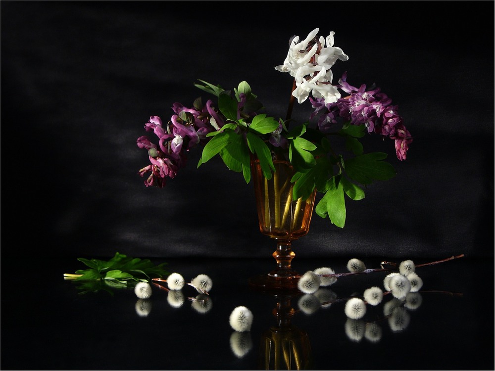 Фотографія Весна на моєму столі / Estella / photographers.ua
