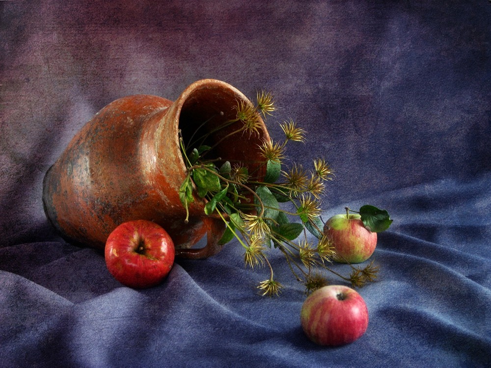 Фотографія Три яблука / Estella / photographers.ua