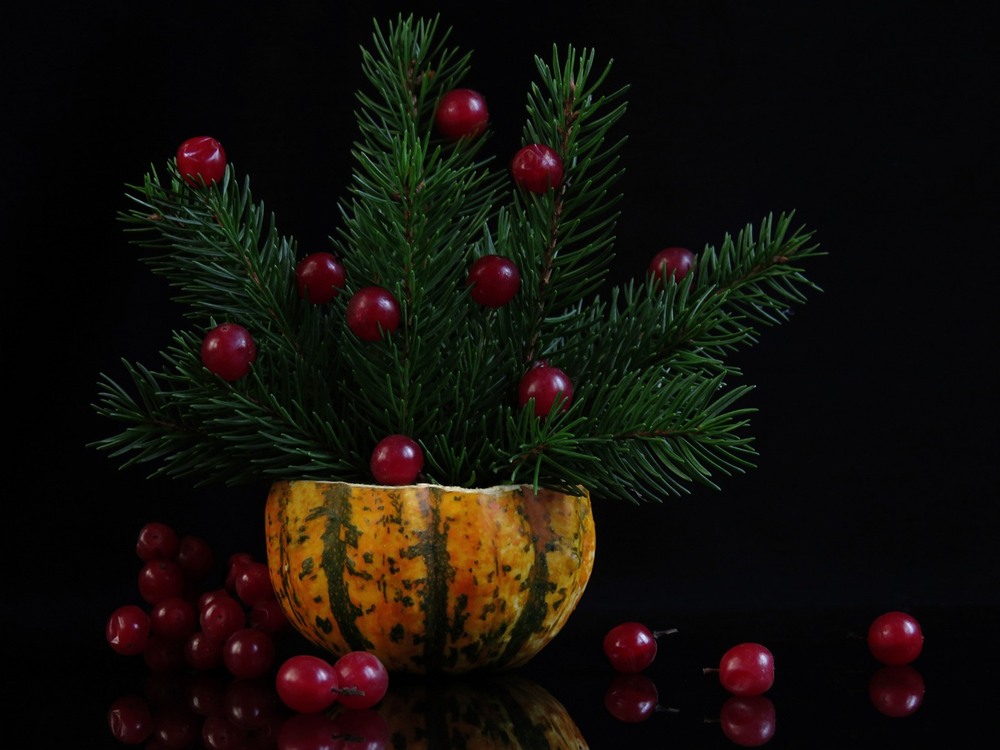 Фотографія Натюрморт / Estella / photographers.ua