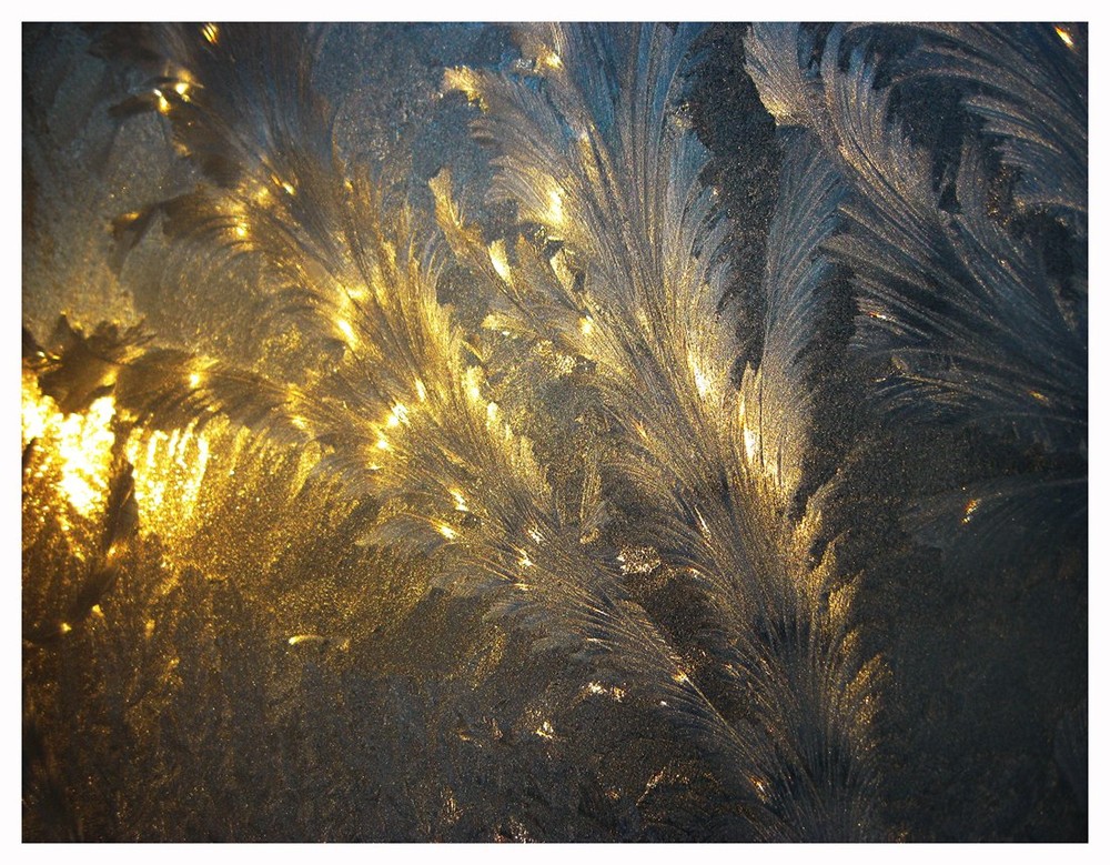 Фотографія Glass, Ice & Winter Sunrise / Estella / photographers.ua