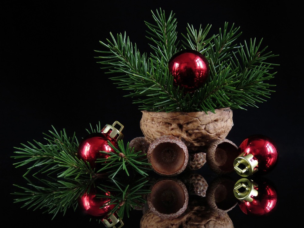 Фотографія Мініноворічний / Estella / photographers.ua