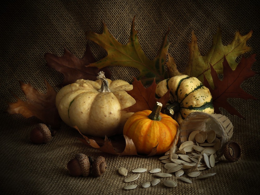 Фотографія Гарбузово-врожайне / Estella / photographers.ua