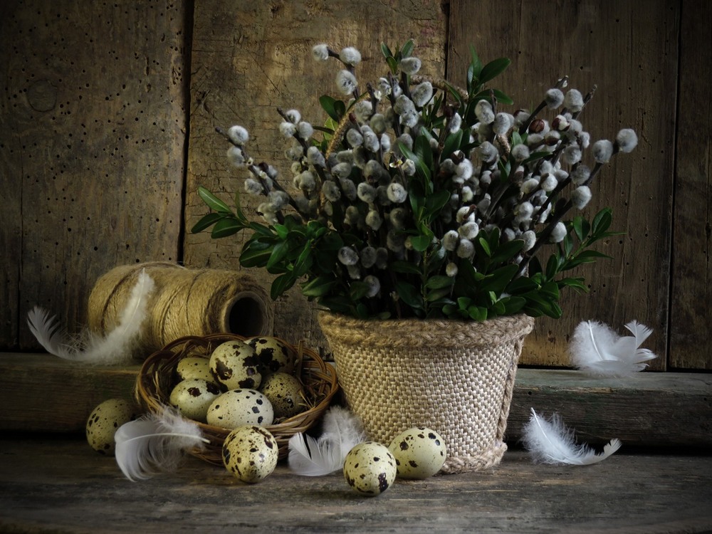 Фотографія Із серії "Перепелине гніздечко" / Estella / photographers.ua