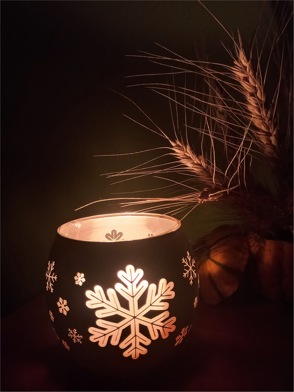 Фотографія Натюрморт / Estella / photographers.ua