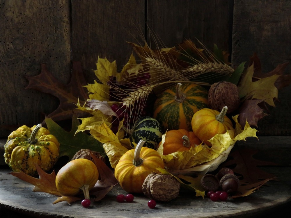 Фотографія Із серії "Жовтневі замальовки" / Estella / photographers.ua