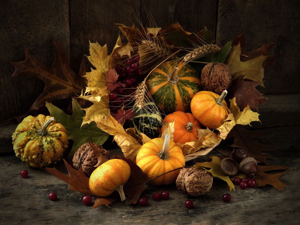 Фотографія Спроба №2 / Estella / photographers.ua