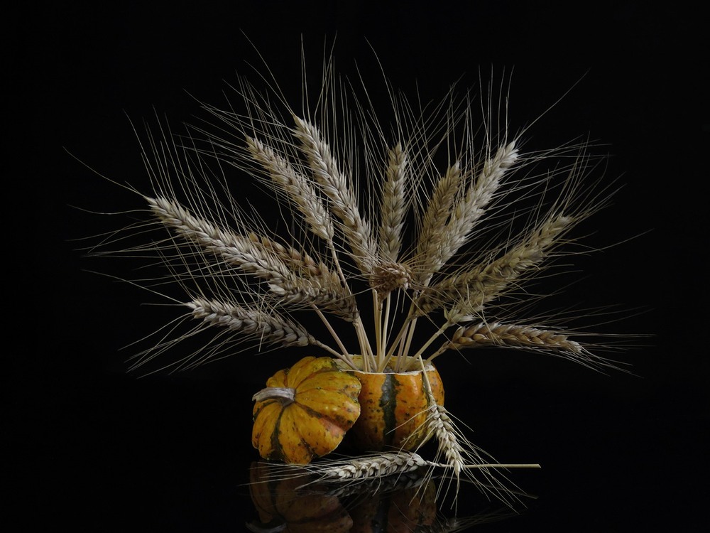 Фотографія Натюрморт / Estella / photographers.ua