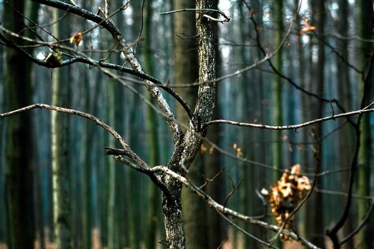 Фотографія / / Евгений Филиппов / photographers.ua