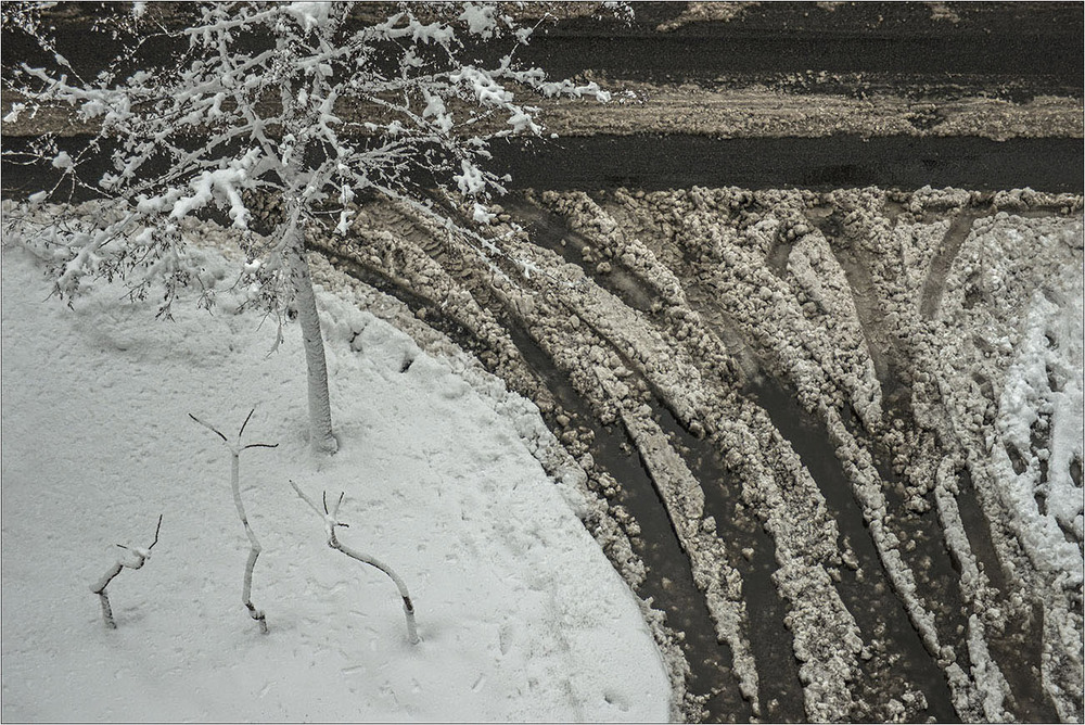 Фотографія "А за окном, то дождь, то снег..." (с) / Юрий Васильев / photographers.ua