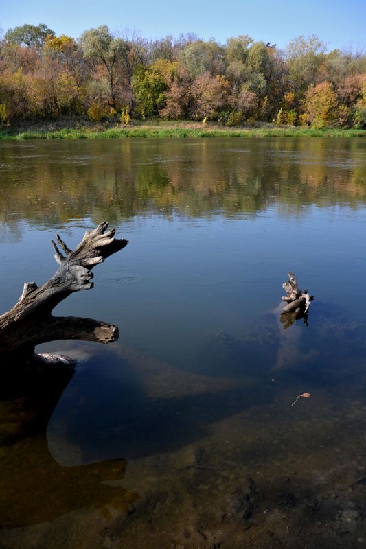 Фотографія Осень на реке / Ruslan Greh / photographers.ua
