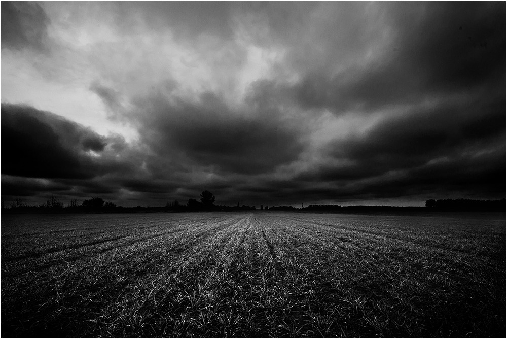 Фотографія Наступала чорна хмара... / Mykola Меyta / photographers.ua