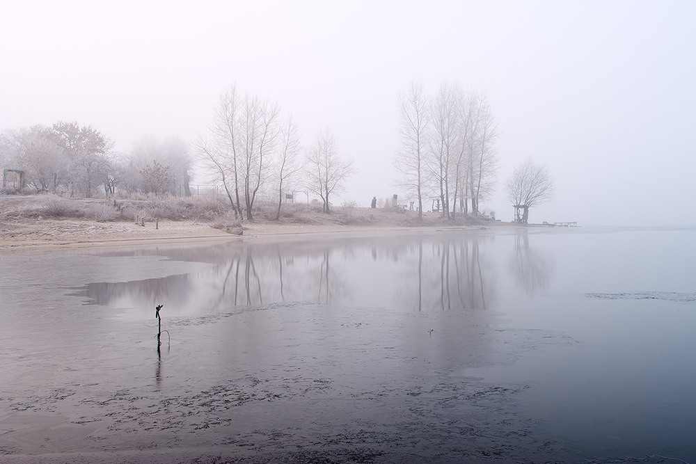 Фотографія морозное утро / Don Quijote de Ro Mancha / photographers.ua