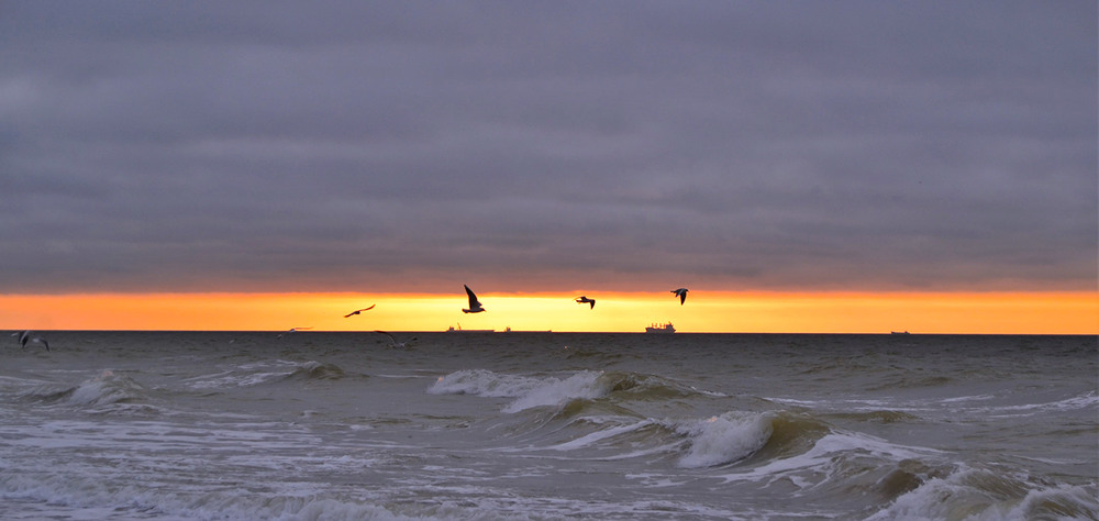 Фотографія Silhouetted ships and flying seagulls at sunrise / Valery Kalmykov / photographers.ua