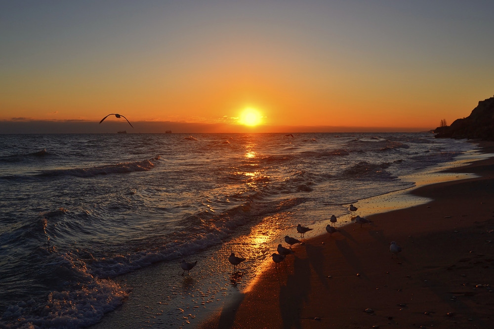 Фотографія At Sunset / Valery Kalmykov / photographers.ua