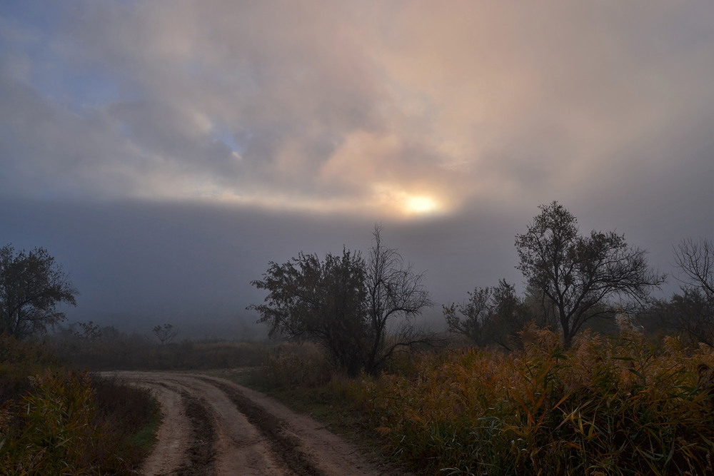 Фотографія Ранковий туман / Valery Kalmykov / photographers.ua