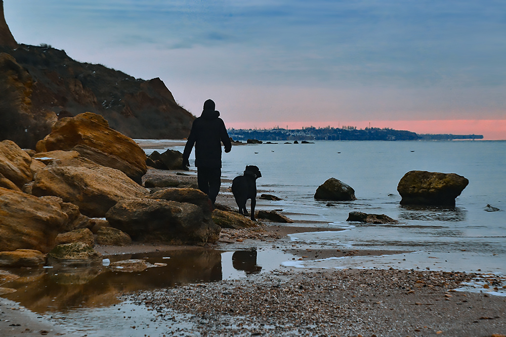 Фотографія Dog on morning walk at beach with owner. / Valery Kalmykov / photographers.ua