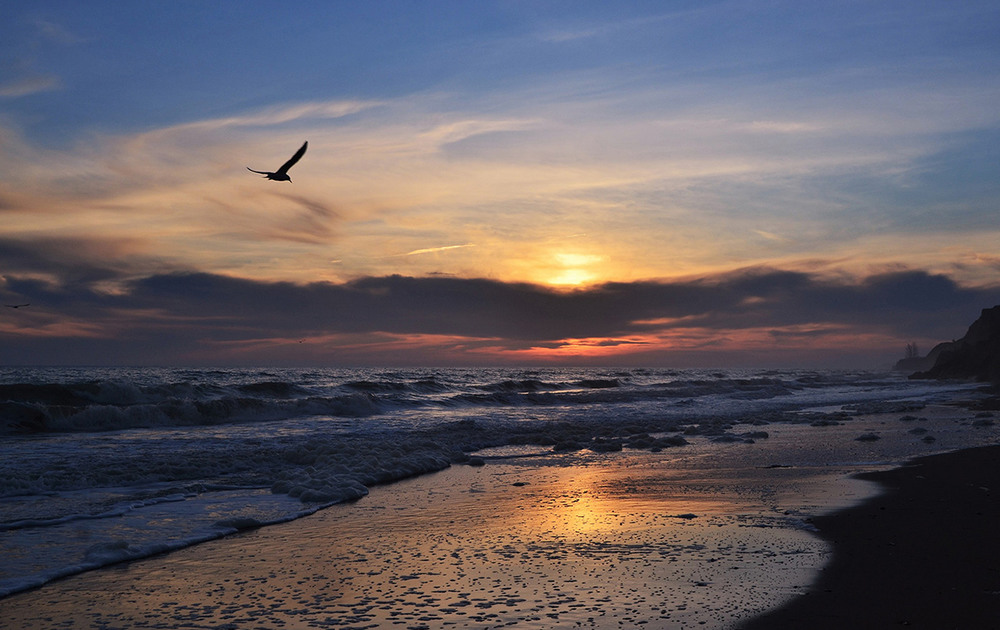 Фотографія At Sunset / Valery Kalmykov / photographers.ua