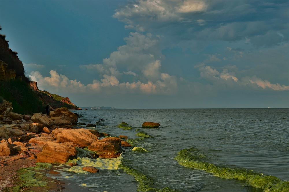 Фотографія Зелене Чорне море / Valery Kalmykov / photographers.ua