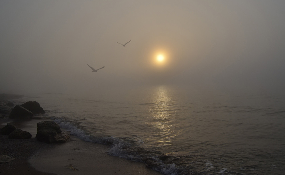 Фотографія Foggy morning at sea / Valery Kalmykov / photographers.ua