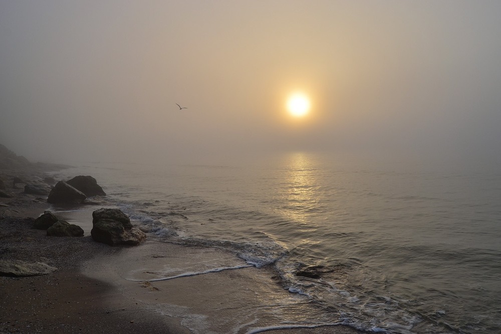 Фотографія Море туманное / Valery Kalmykov / photographers.ua