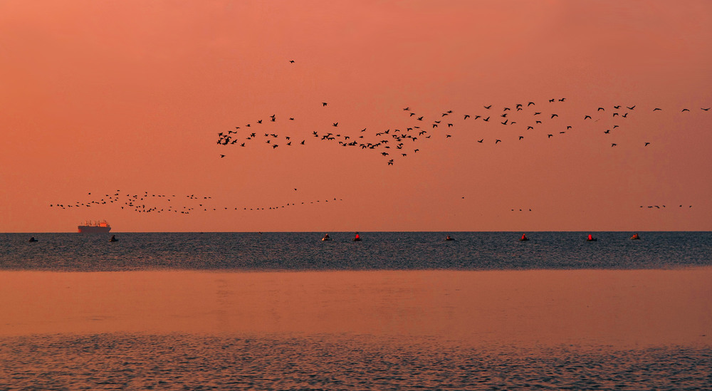 Фотографія Fishermen and birds at sunrise / Valery Kalmykov / photographers.ua