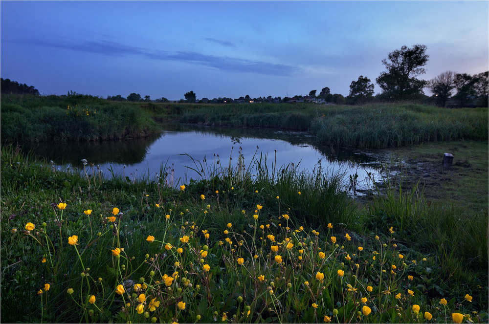 Фотографія Сумеречный пейзаж у реки / Stanislav Salamanov / photographers.ua