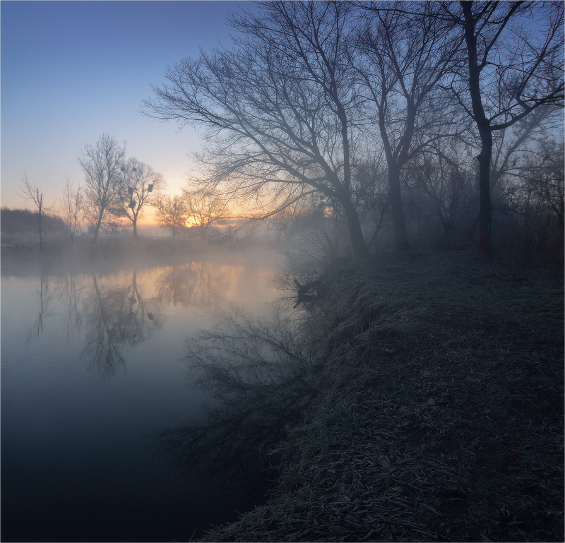Фотографія Весеннее таинство у реки / Stanislav Salamanov / photographers.ua