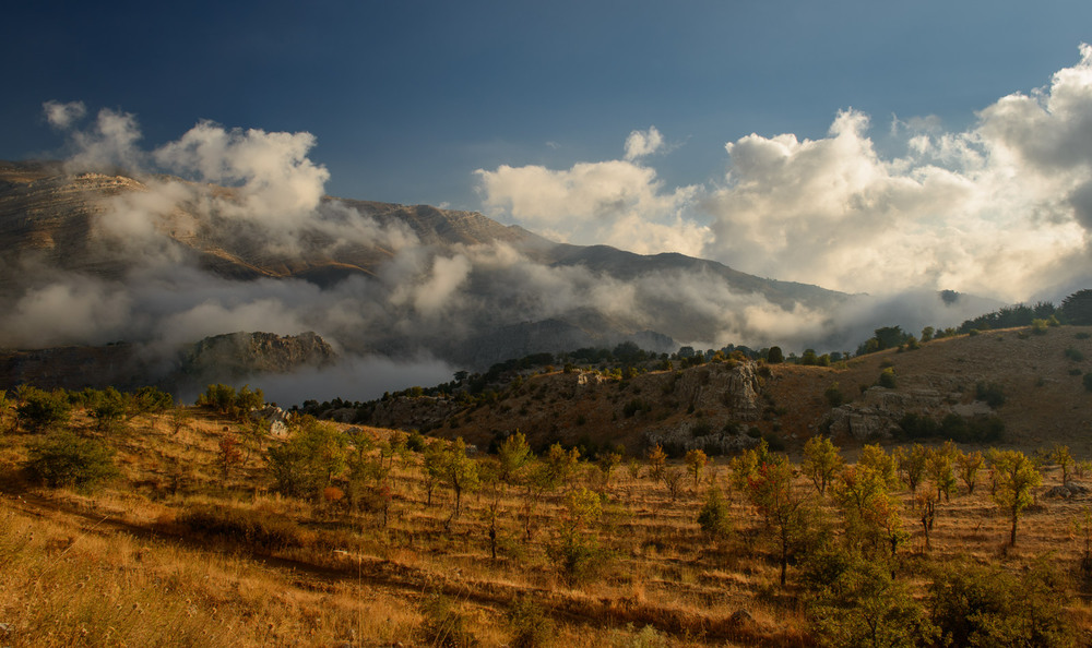 Фотографія Осень в горах / Badimo / photographers.ua
