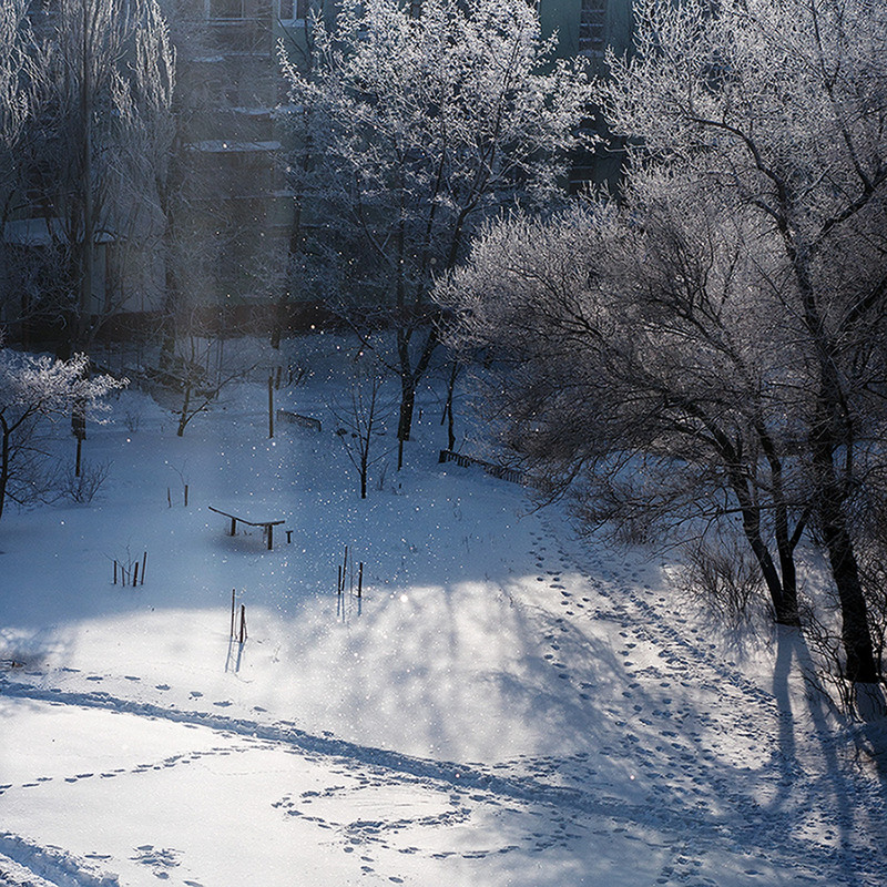 Фотографія зимнее волшебство / Светлана Шустова / photographers.ua