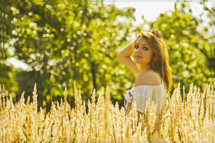 Фотографія golden sun:) / AndrewSoroka / photographers.ua