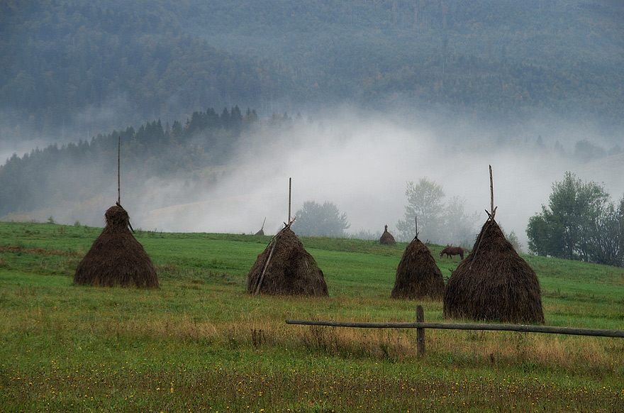 Фотографія * * * / Igor Melika / photographers.ua