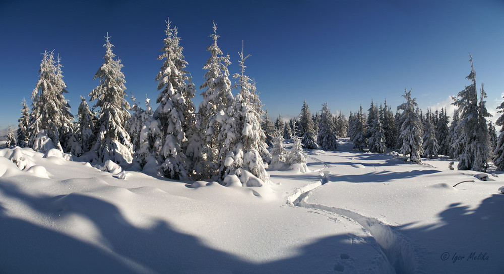 Фотографія Вже зима... / Igor Melika / photographers.ua