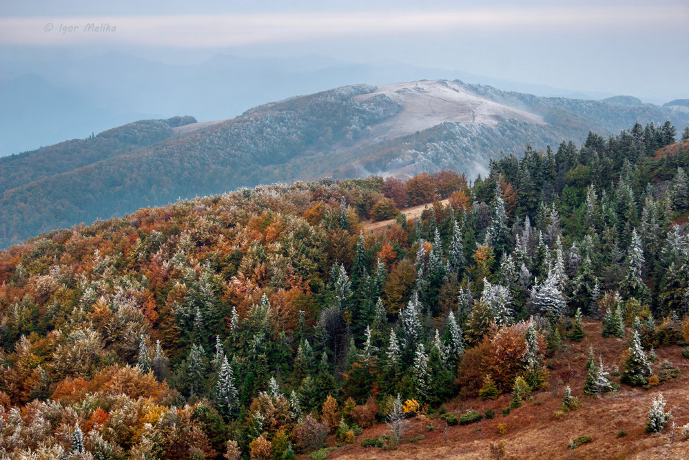 Фотографія Карпатська осінь / Igor Melika / photographers.ua