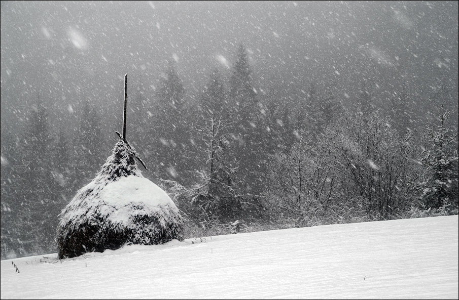 Фотографія Сніжить... / Igor Melika / photographers.ua